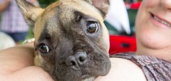 Dogged determination saves the day, and raises over £1,000 for COT!