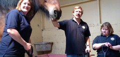 NEW EMPLOYMENT OFFICER TO TRANSFORM LIVES AT CANTERBURY OAST TRUST!